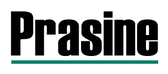 Prasine Systems and Solutions